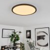 Hortinhas Ceiling Light LED black, 1-light source, Remote control, Colour changer