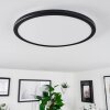 Hortinhas Ceiling Light LED black, 1-light source, Remote control, Colour changer