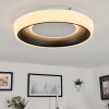 Mackay Ceiling Light LED white, 1-light source, Remote control