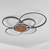 Kassambene Ceiling Light LED anthracite, Ecru, 1-light source, Remote control