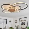 Kassambene Ceiling Light LED anthracite, Ecru, 1-light source, Remote control