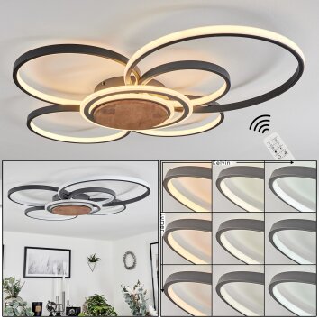 Kassambene Ceiling Light LED anthracite, Ecru, 1-light source, Remote control