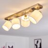 Alsen Ceiling Light matt nickel, 4-light sources