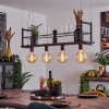 Tasan Pendant Light black, 4-light sources