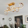 Gora Ceiling Light LED brass, 3-light sources