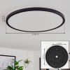 Hortinhas Ceiling Light LED black, 1-light source, Remote control, Colour changer