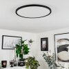 Hortinhas Ceiling Light LED black, 1-light source, Remote control, Colour changer