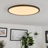Hortinhas Ceiling Light LED black, 1-light source, Remote control, Colour changer