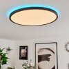 Hortinhas Ceiling Light LED black, 1-light source, Remote control, Colour changer