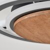 Kassambene Ceiling Light LED anthracite, Ecru, 1-light source