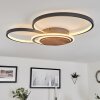 Kassambene Ceiling Light LED anthracite, Ecru, 1-light source