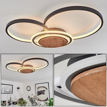 Kassambene Ceiling Light LED anthracite, Ecru, 1-light source