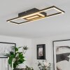 Vaseux Ceiling Light LED black, white, 1-light source