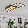 Vaseux Ceiling Light LED black, white, 1-light source