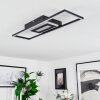 Vaseux Ceiling Light LED black, white, 1-light source