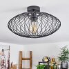 Banleou Ceiling Light black, 1-light source