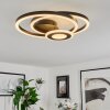 Serzedelo Ceiling Light LED black, 1-light source