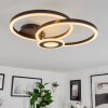 Serzedelo Ceiling Light LED black, 1-light source