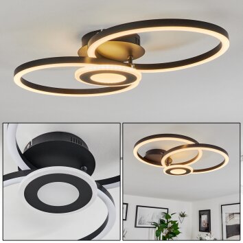 Serzedelo Ceiling Light LED black, 1-light source