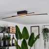 Meiral Ceiling Light LED Ecru, black, 2-light sources
