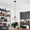 Pedreles Pendant Light black, 1-light source