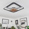 Kassambene Ceiling Light LED anthracite, Ecru, 1-light source