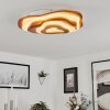 Krieng Ceiling Light LED Ecru, white, 1-light source, Remote control