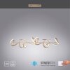 Leuchten Direkt CURLS Pendant Light LED brass, 4-light sources