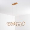 Lavaca Pendant Light LED gold, 4-light sources