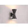 Trio Ardas Outdoor Wall Light black, 2-light sources