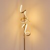 LAVACA Floor Lamp LED gold, 2-light sources