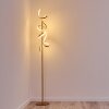 LAVACA Floor Lamp LED gold, 2-light sources