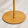 LAVACA Floor Lamp LED gold, 2-light sources