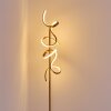 LAVACA Floor Lamp LED gold, 2-light sources