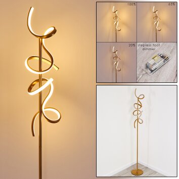 LAVACA Floor Lamp LED gold, 2-light sources