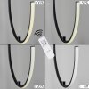 Chlak Pendant Light LED black, 2-light sources, Remote control