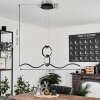 Chlak Pendant Light LED black, 3-light sources, Remote control