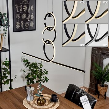 Chlak Pendant Light LED black, 3-light sources, Remote control