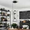 Chlak Pendant Light LED black, 3-light sources, Remote control