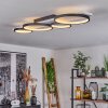 Rodekro Ceiling Light LED black, white, 1-light source