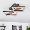 Tavon Ceiling Light LED Ecru, black, 1-light source