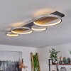 Rodekro Ceiling Light LED black, silver, 1-light source