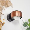 Sapri Wall Light copper, black, 1-light source