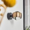 Sapri Wall Light antique brass, black, 1-light source