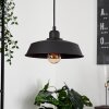 Rognaix Pendant Light black, 1-light source