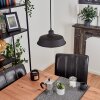 Rognaix Pendant Light black, 1-light source