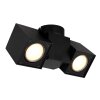 Globo ERIN Ceiling Light black, 2-light sources