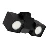 Globo ERIN Ceiling Light black, 2-light sources