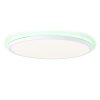 Brilliant Saltery Ceiling Light LED white, 1-light source, Remote control, Colour changer