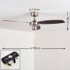 Ceiling Fan Fossa matt nickel